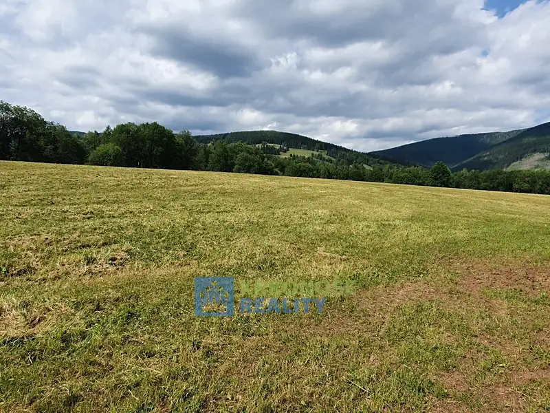 Prodej pozemku 4617 m², Černý Důl – náhled fotky 2