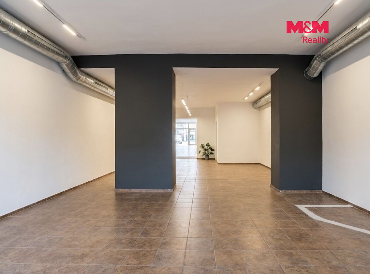 Pronájem obchodního prostoru 220 m² – fotografie 4