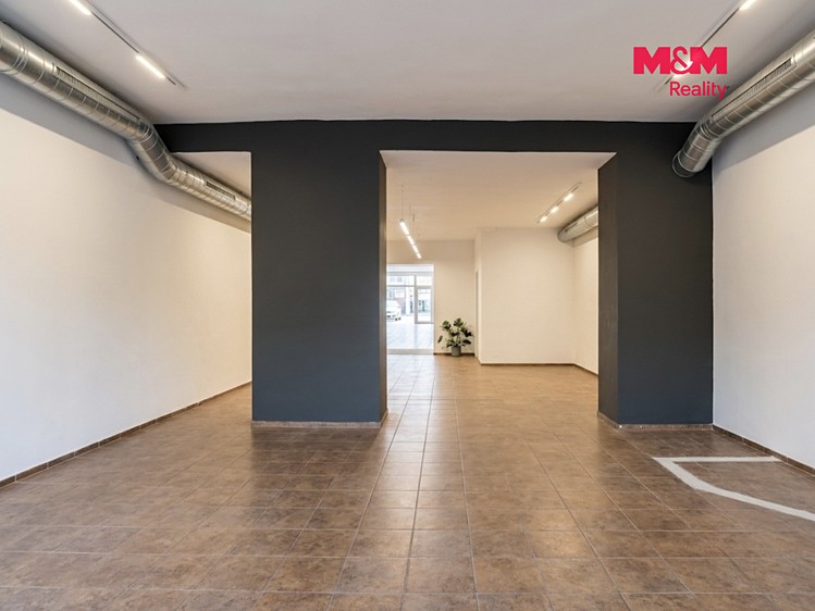 Комерційне приміщення в оренду, 220 м² (4 з 10)
