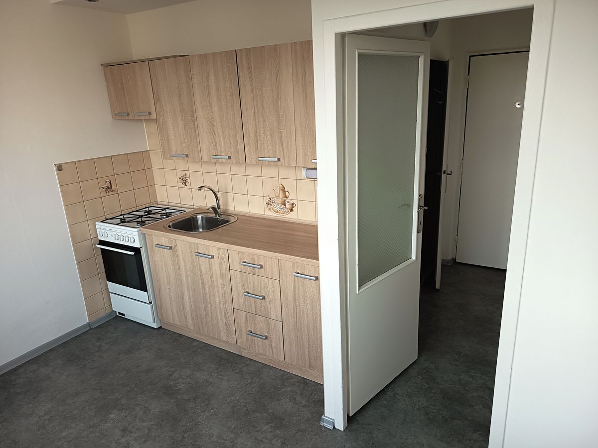 Pronájem bytu 1+1 35 m² – fotografie 3