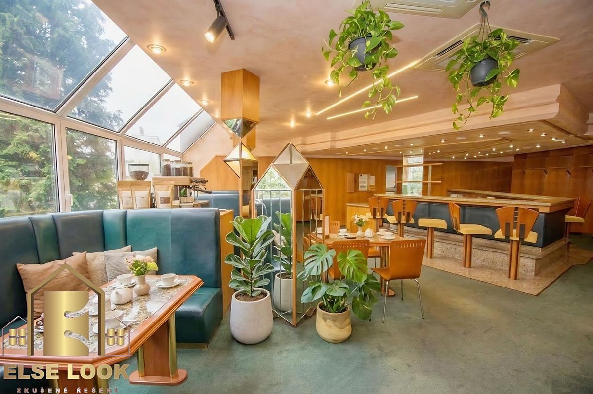 Prodej obchodního prostoru 748 m² – fotografie 5