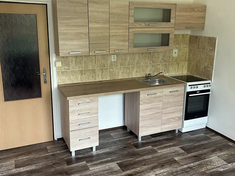 Pronájem bytu 1+1 38 m², Horní Bříza – náhled fotky 2