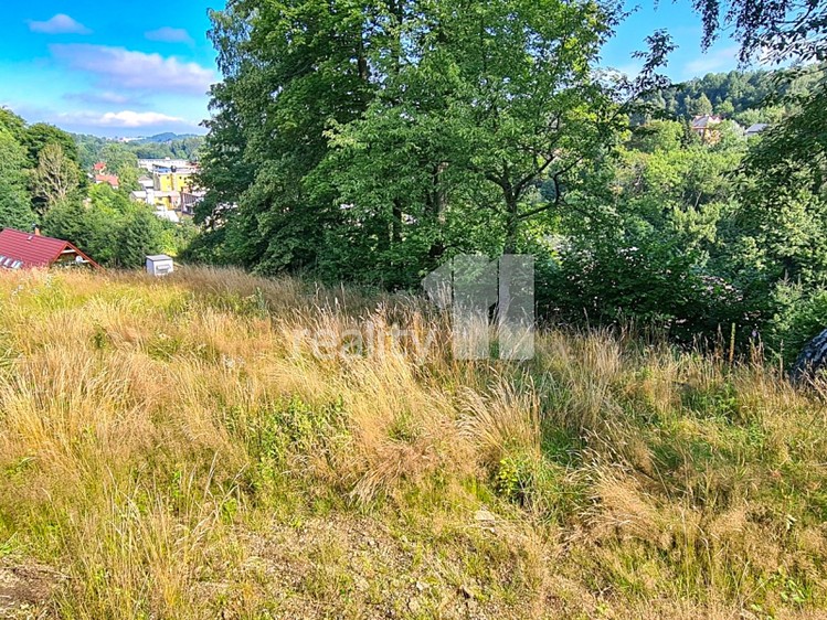 Prodej pozemku, 1 200 m² (19 z 23)