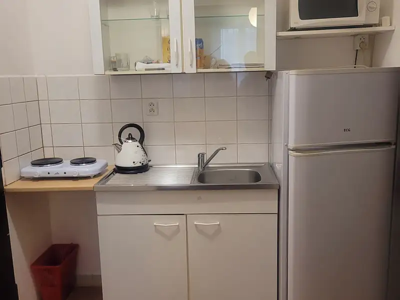 Pronájem bytu 1+kk 35 m², Praha – náhled fotky 3