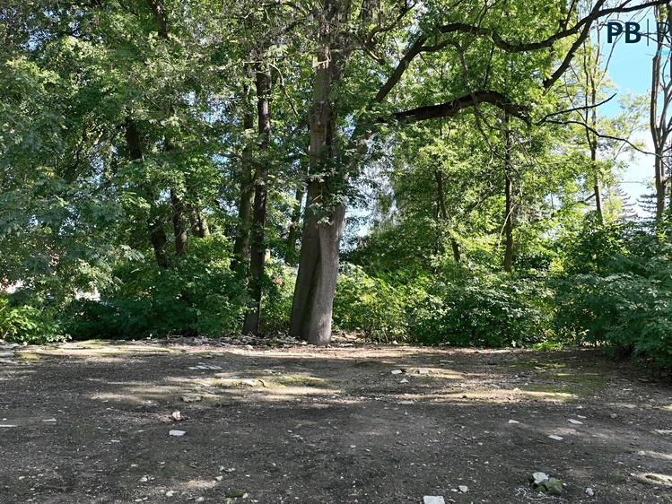 Grundstück zum Kauf, 9.180 m² (11 von 25)
