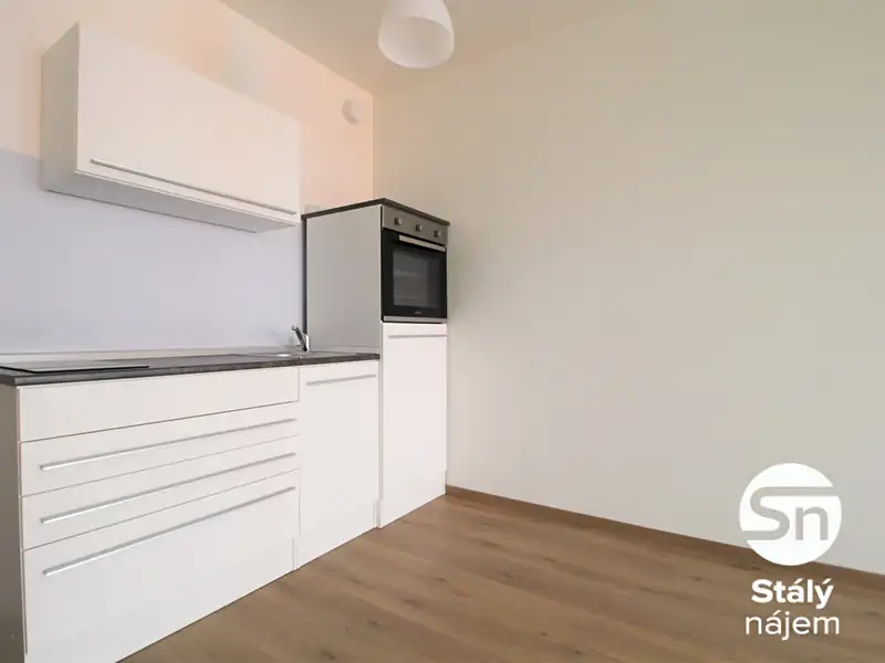 Pronájem bytu 1+kk 43 m², Praha – náhled fotky 2