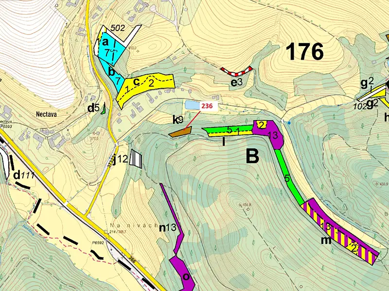 Dražba lesa 813 m², Březinky – náhled fotky 3