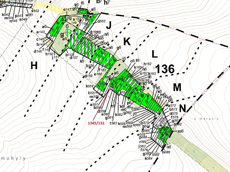 Dražba lesa 432 m², Morašice – náhled fotky 3
