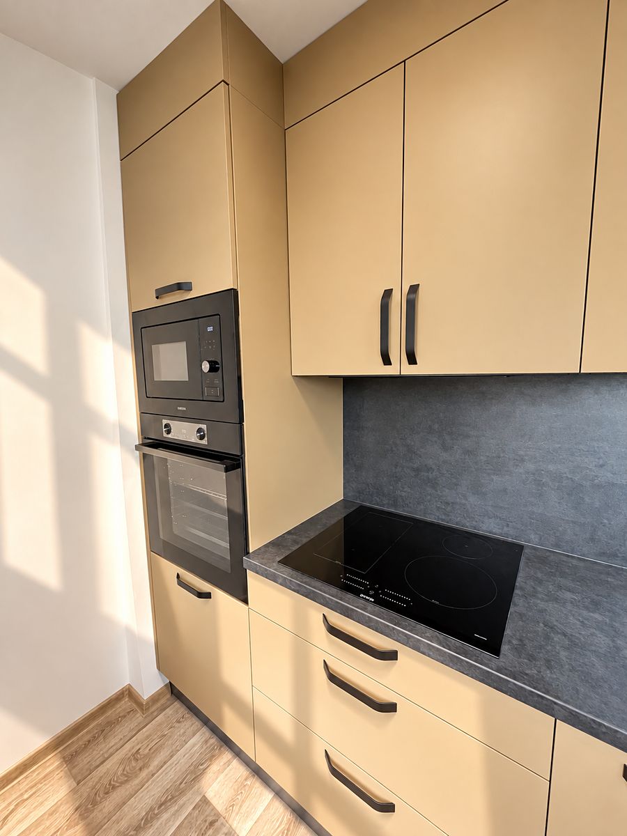 Pronájem bytu 3+kk 66 m² – fotografie 3