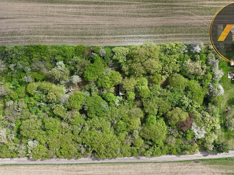 Grundstück zum Kauf, 4.447 m² (4 von 5)
