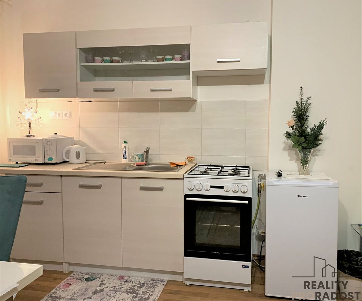 Pronájem bytu 1+kk 45 m² – fotografie 4