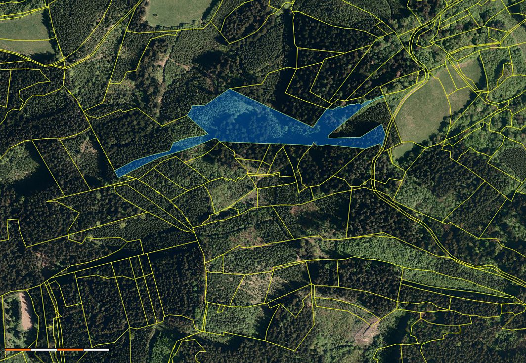 Prodej lesa 38810 m²