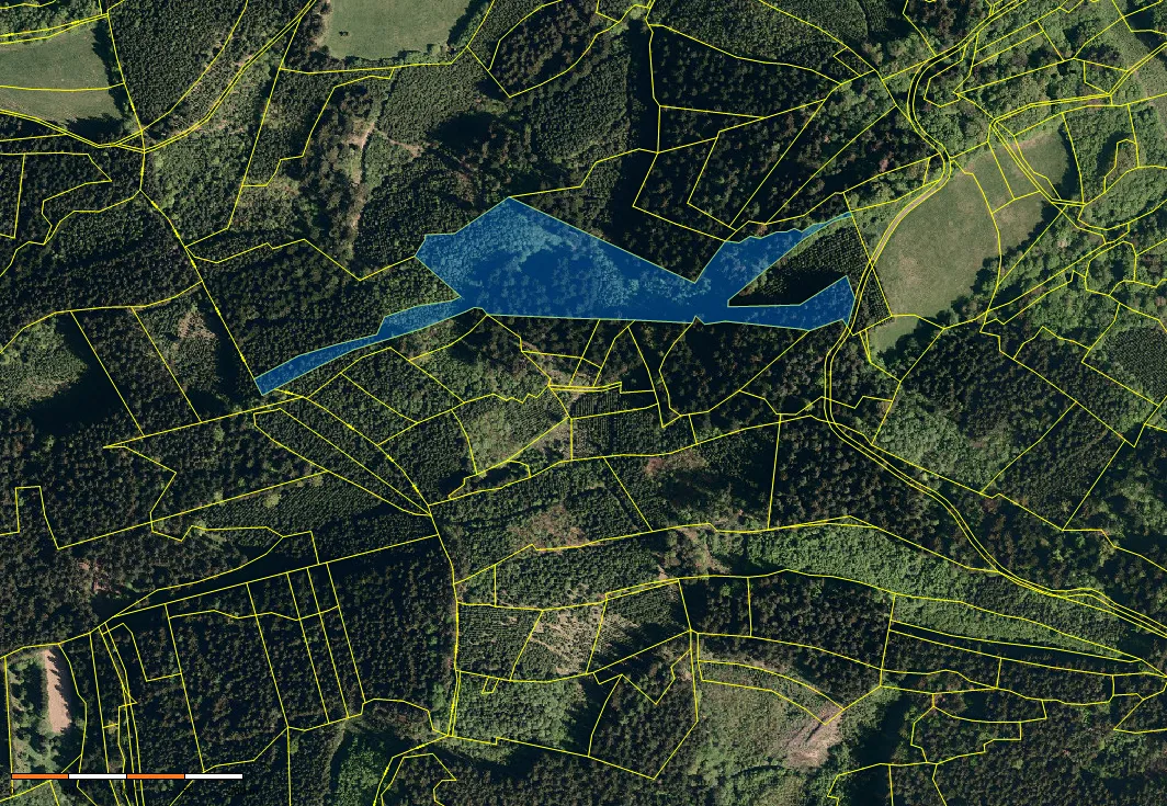 Prodej lesa 38810 m²