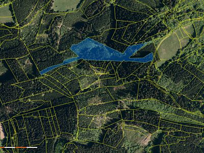 Prodej lesa 38810 m²