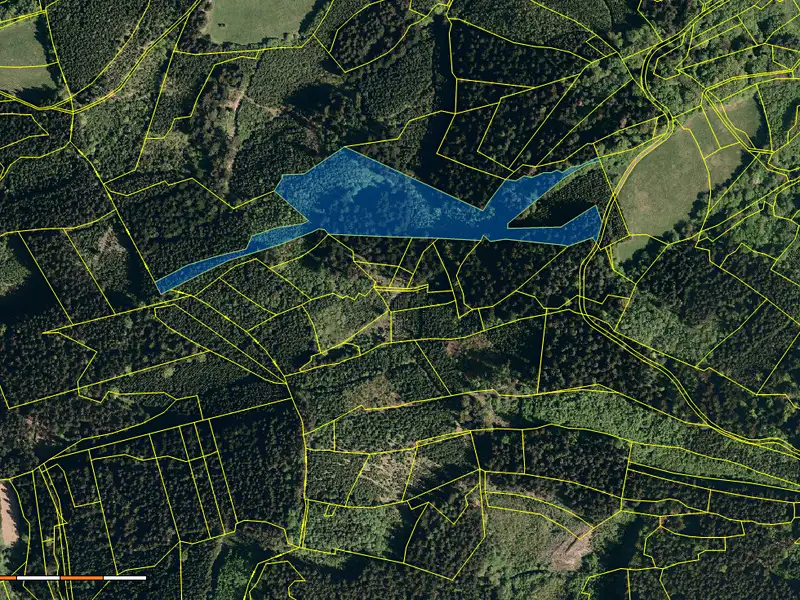 Prodej lesa 38810 m², Valašská Polanka – náhled fotky 1