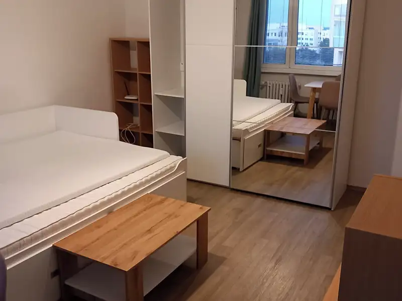 Prodej bytu 1+1 31 m², Pardubice – náhled fotky 3
