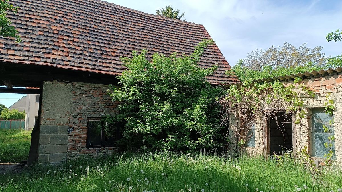 Prodej rodinného domu 100 m², pozemek 453 m² – fotografie 3