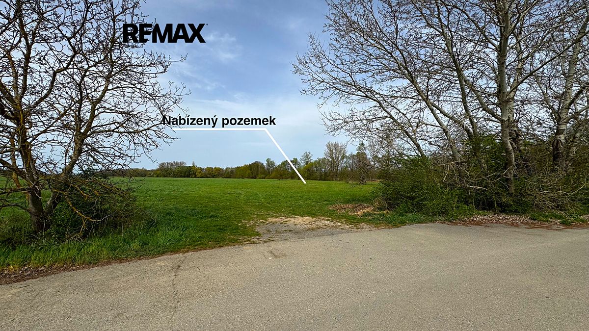 Prodej pole 4547 m² – fotografie 3