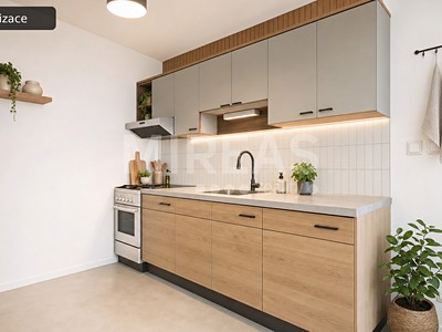 Prodej bytu 2+kk, 48 m² (3 z 19)