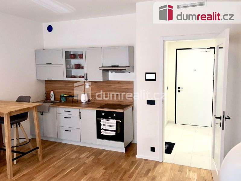 Pronájem bytu 1+kk 31 m² – fotografie 4
