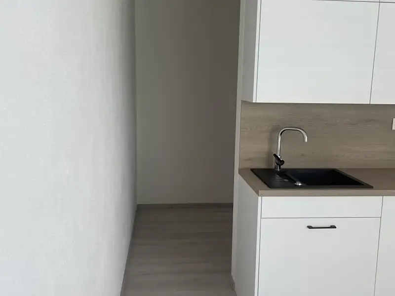 Pronájem bytu 1+kk 35 m², Plzeň – náhled fotky 3