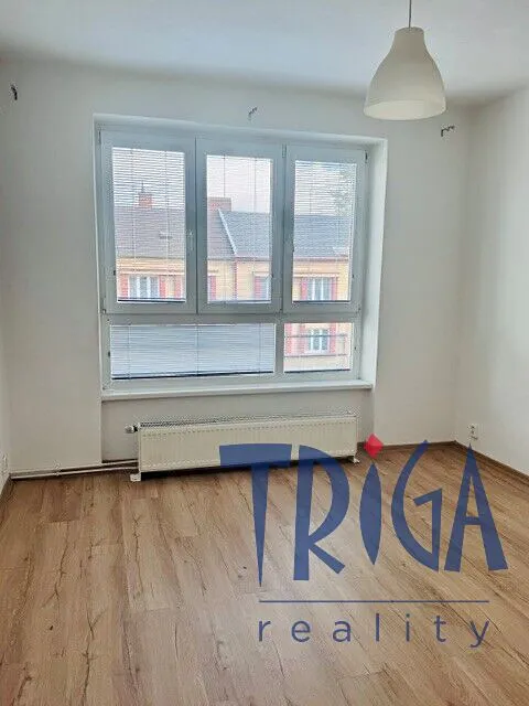 Fotka 14 z 16