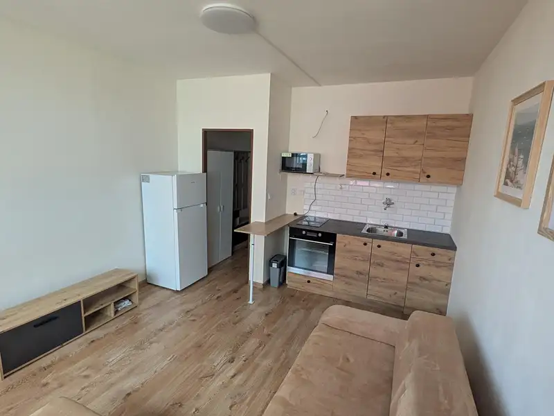 Pronájem bytu 1+kk 22 m², Most – náhled fotky 1