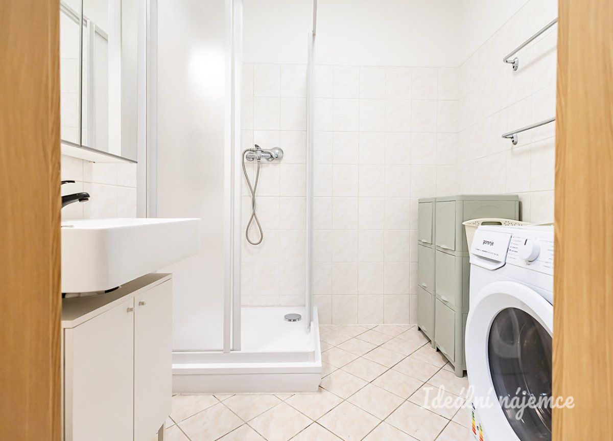 Pronájem bytu 1+kk 40 m² – fotografie 4