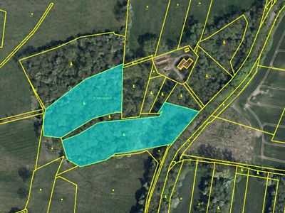 Prodej lesa 19276 m²