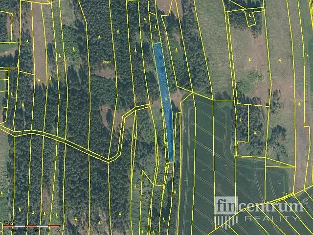 Prodej lesa 28936 m², Radkov – náhled fotky 2