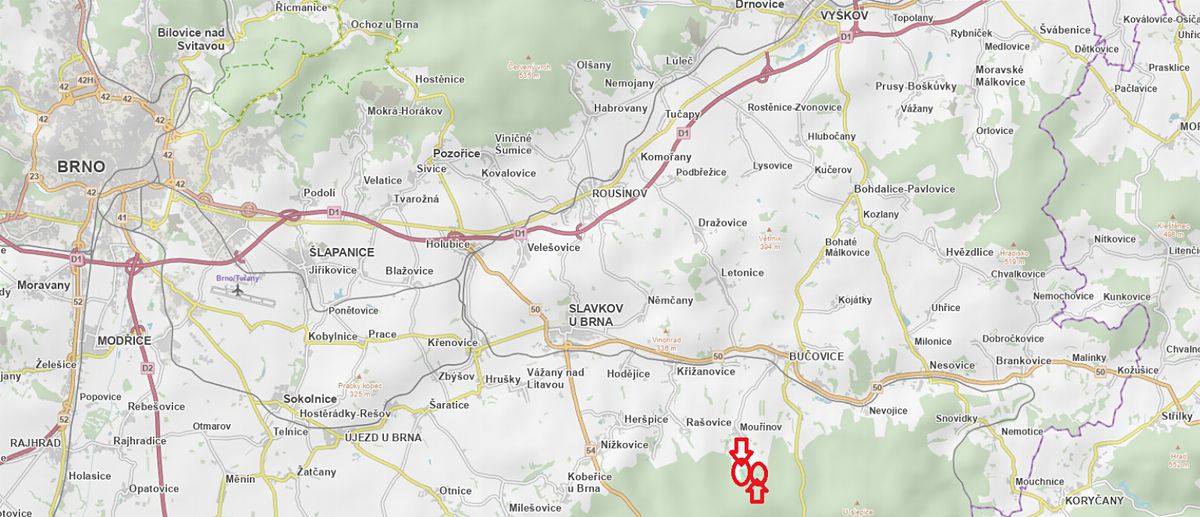Prodej lesa 2823 m²