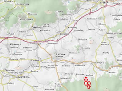 Prodej lesa 2823 m²
