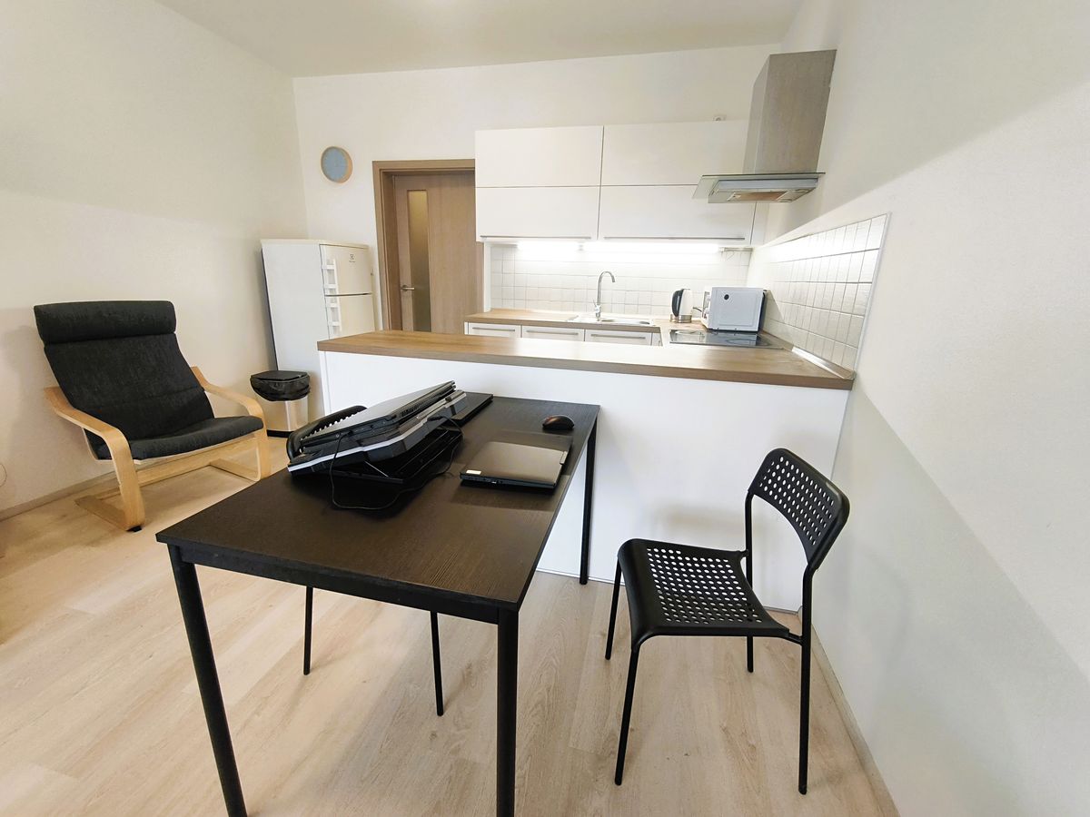 Pronájem bytu 1+kk 45 m² – fotografie 2