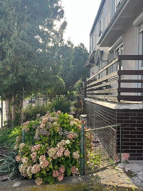 Pronájem rodinného domu 398 m², pozemek 398 m²