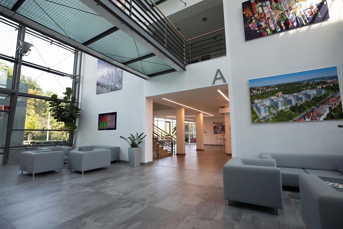 Pronájem kanceláře 408 m² – fotografie 3