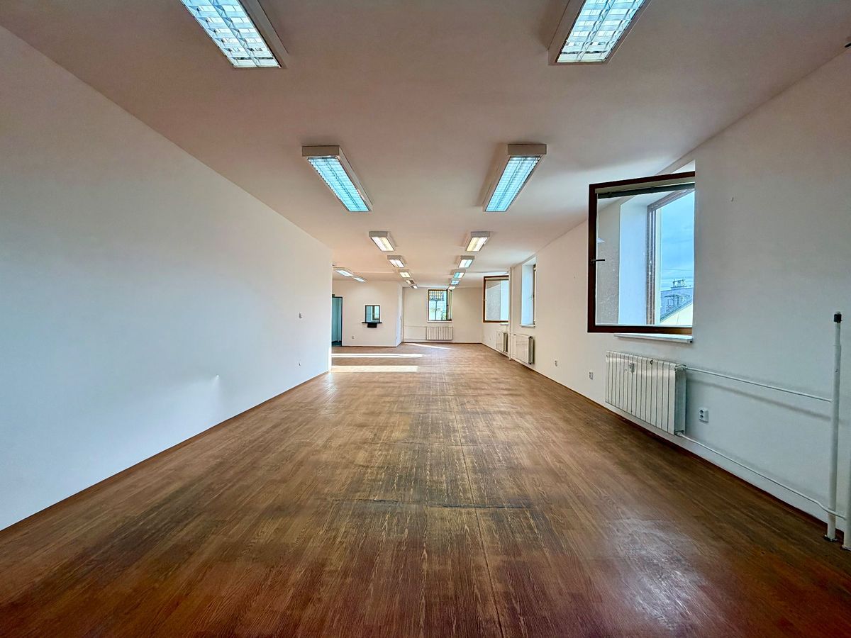 Pronájem obchodního prostoru 150 m² – fotografie 2