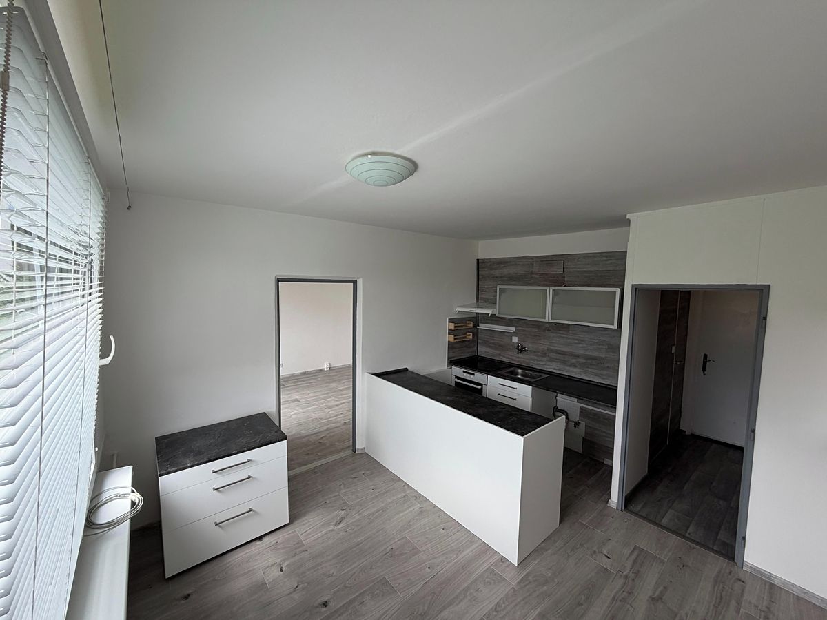 Pronájem bytu 1+1 38 m²