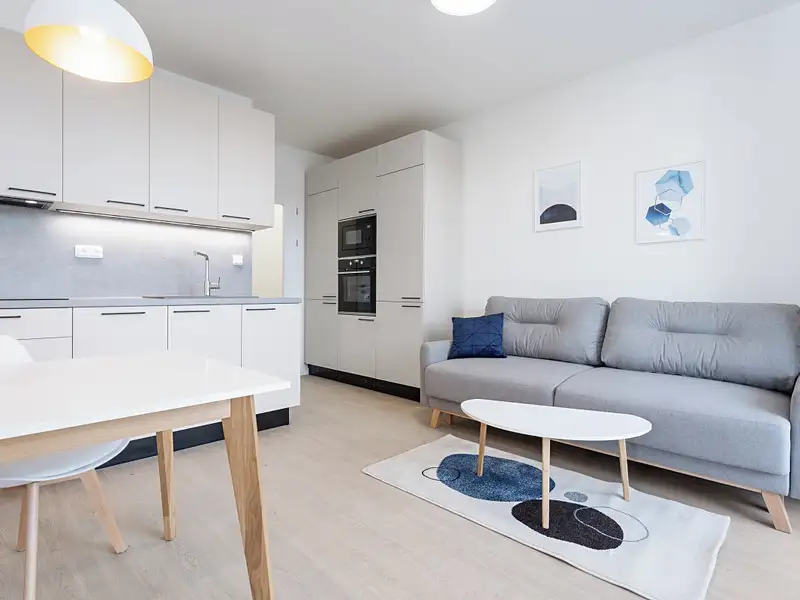 Pronájem bytu 2+kk 43 m², Praha – náhled fotky 3