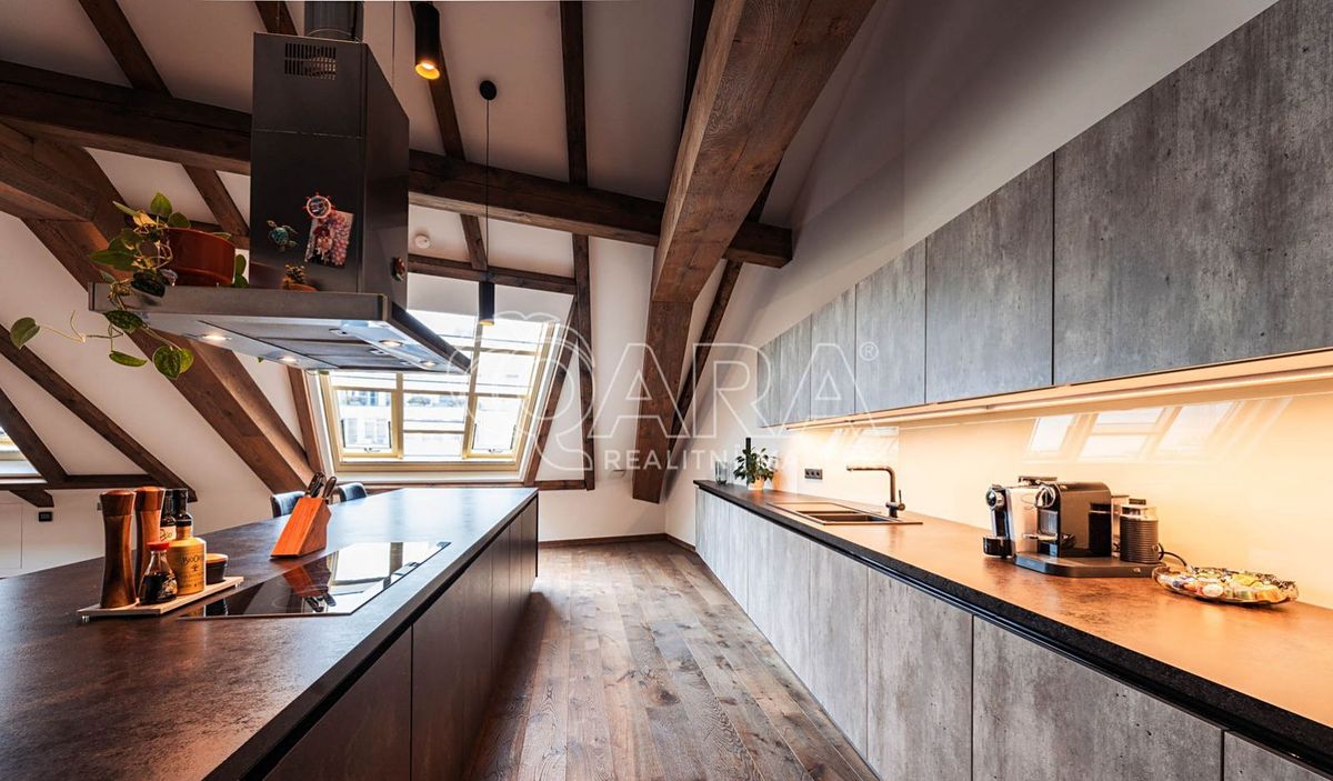 Pronájem bytu 5+kk 335 m² – fotografie 4