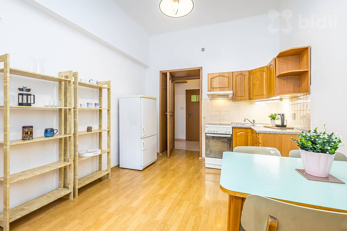Prodej bytu 1+1 42 m² – fotografie 3