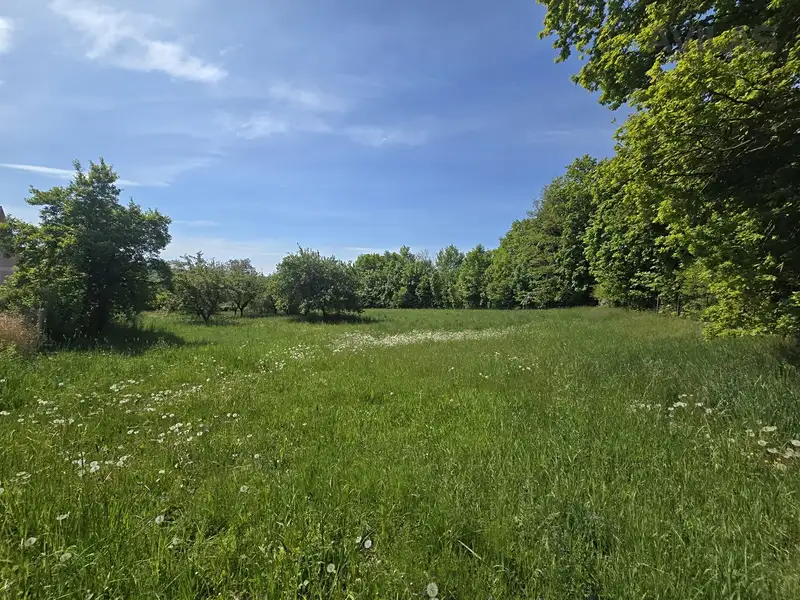 Prodej stavebního pozemku 820 m², Maršovice – náhled fotky 1