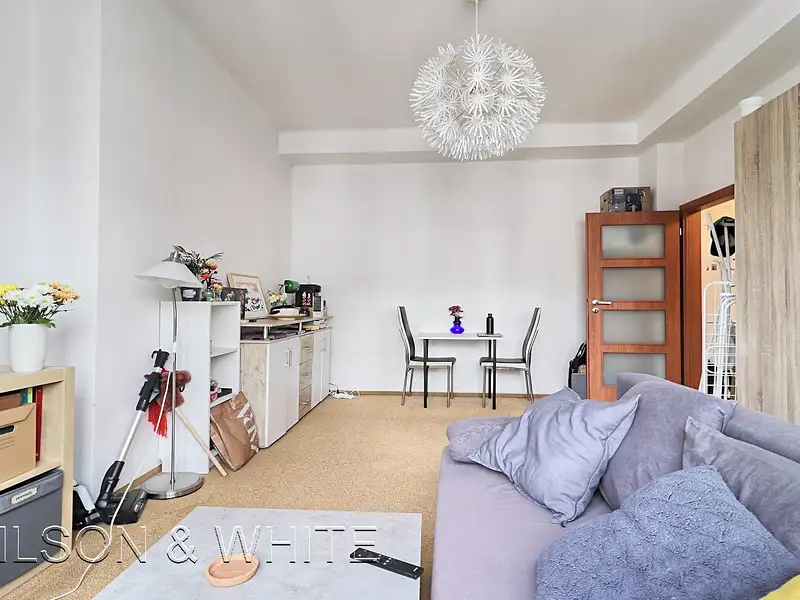 Pronájem bytu 2+1 49 m², Praha – náhled fotky 2
