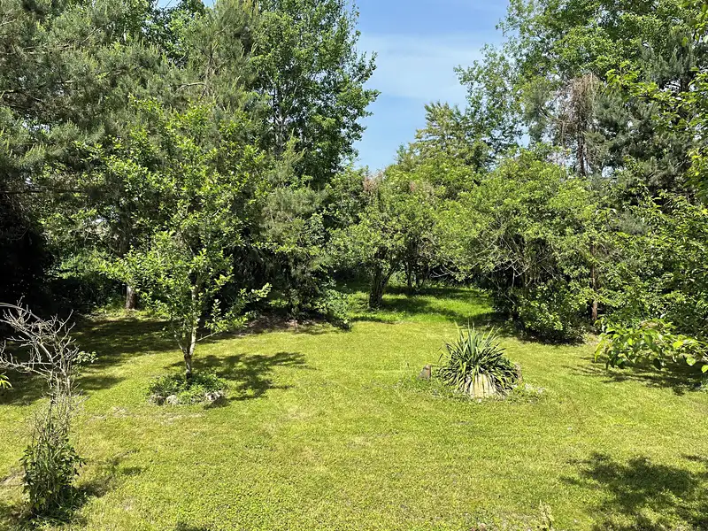 Prodej stavebního pozemku 1267 m², Borek – náhled fotky 2