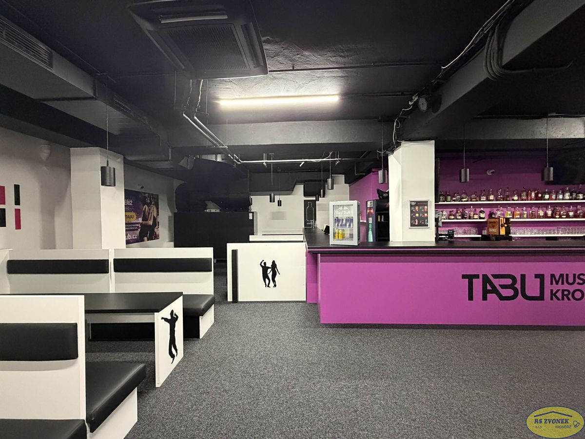 Pronájem komerční nemovitosti 250 m²