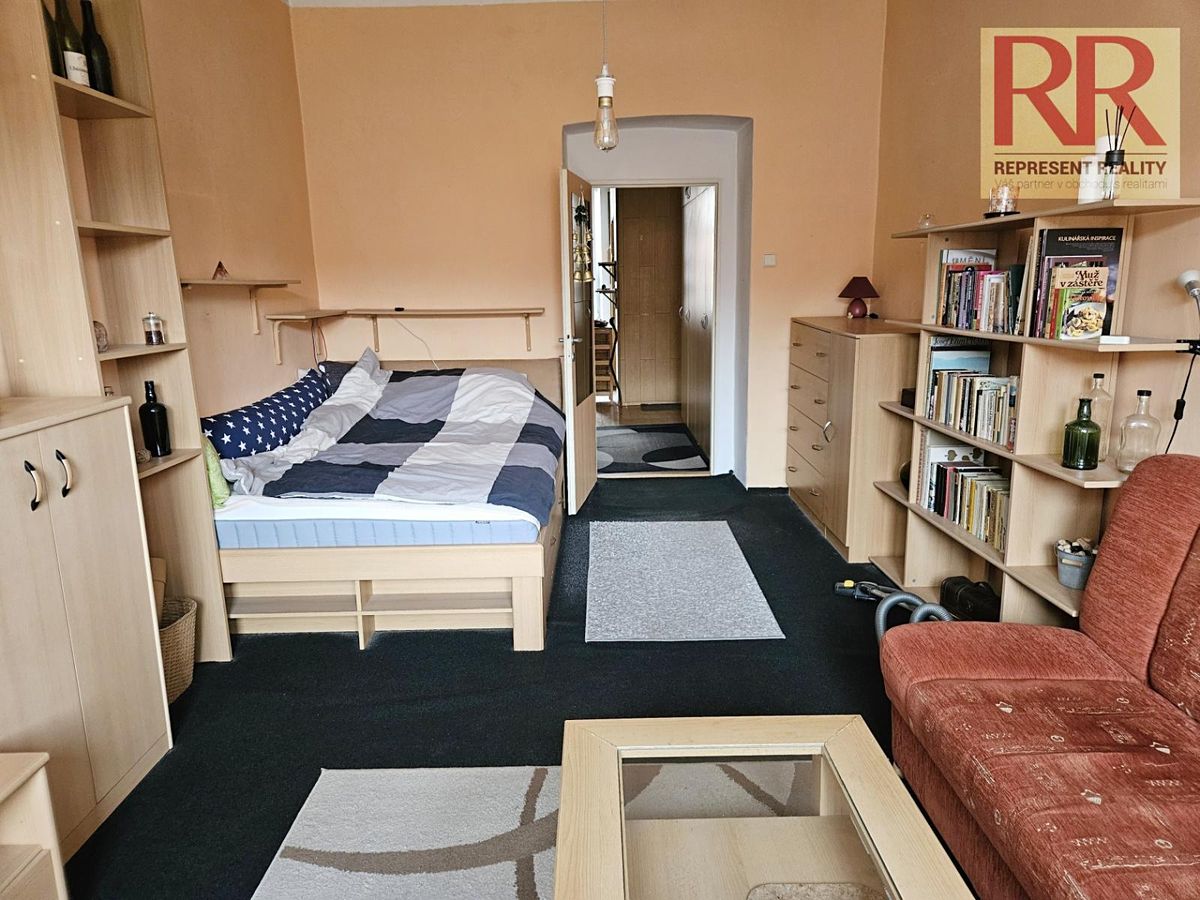 Pronájem bytu 1+1 34 m²