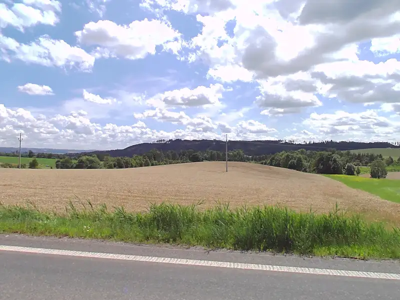 Prodej pole 6953 m², Kunštát – náhled fotky 2