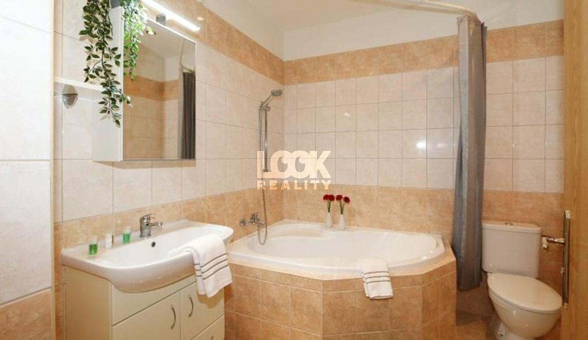 Pronájem bytu 3+kk 65 m² – fotografie 5