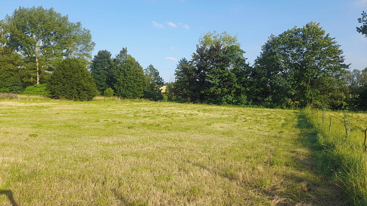 Prodej zahrady 1400 m² – fotografie 4