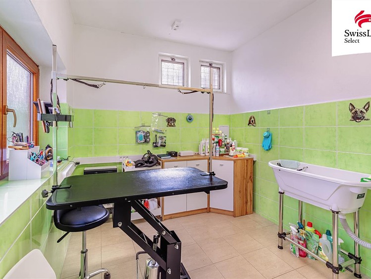 Prodej komerčního prostoru, 142 m² (6 z 18)