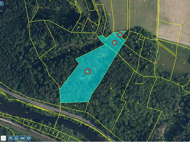 Prodej lesa 23153 m², Železný Brod – náhled fotky 1